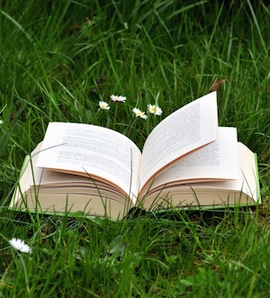 Book in Spring Grass photo