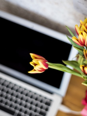 Spring Flowers Computer