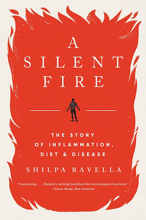 Silent Fire cover